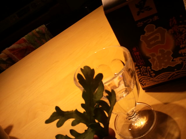 本日のおつまみ