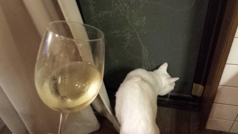 秋の気配