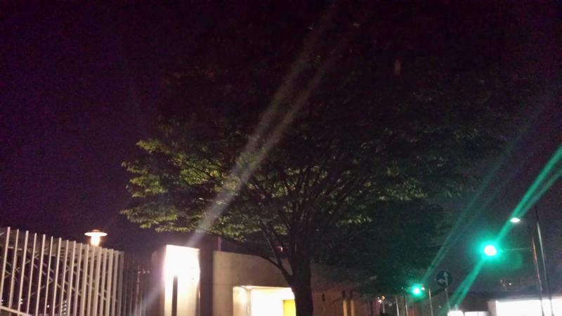 突き止めた!