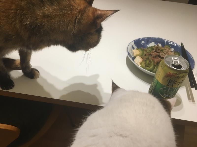 一人メシ捗らず
