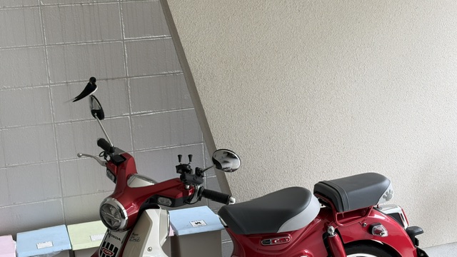 エントリ画像