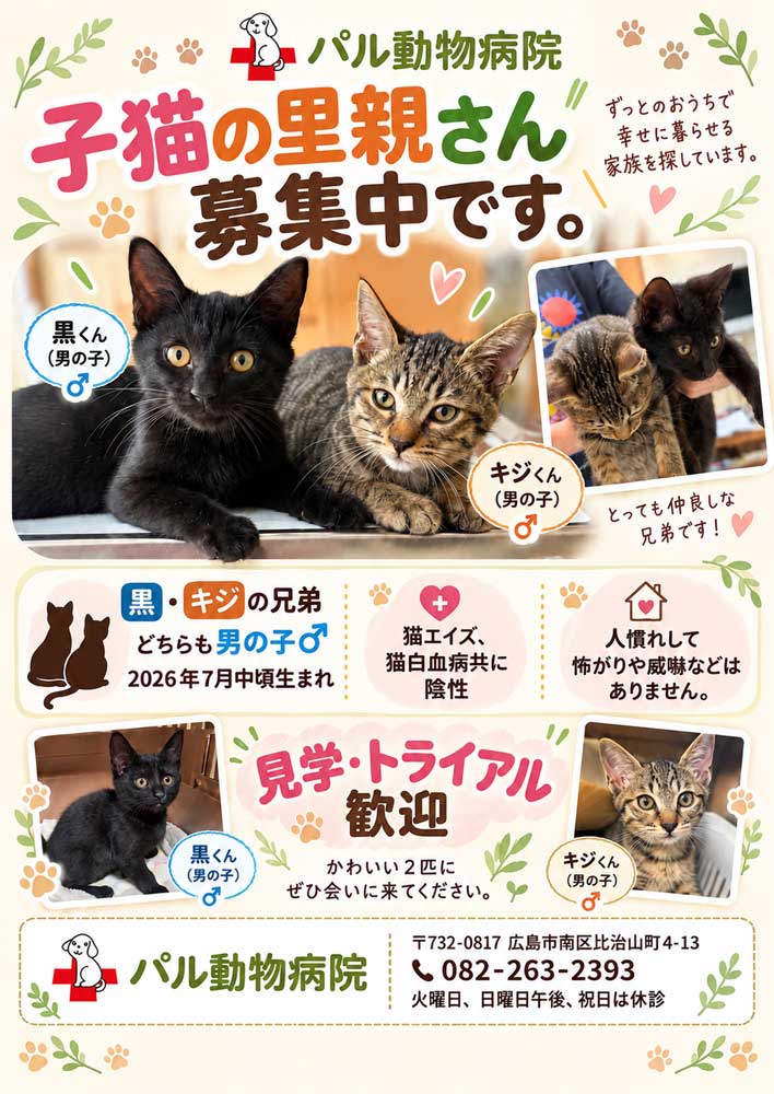 エントリ画像